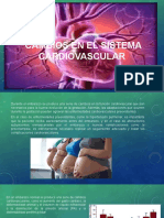 Cambios en El Sistema Cardiovascular