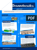 Infografia Deforestacion