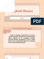 Typhoid Disease: Group 4