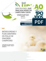 Características de La Cría de Pollos de Engorde Presentacion 1