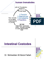 Intestinal Cestode Concise Pharmacy