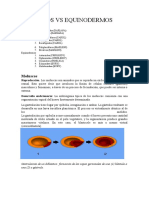 Moluscos Vs Equinodermos