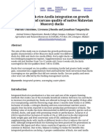 Effect of Duck-Rice-Azolla Integration On Growth Performance and Carcass Quality of Native Malawian Muscovy Ducks