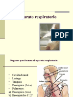 Aparato Respiratorio-2