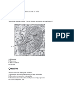 IB DP Biology 1.2 Ultrastructure of Cells Question