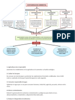 Cuadro Sinoptico Contaminacion Ambiental Ana