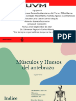 Músculos y Huesos de El Antebrazo