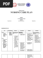 Nursing Care Plan: Silliman Univeristy