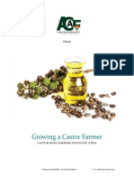 Growing A Castor Farmer: Castor Bean Farmers Initiative (Cbfi)