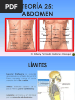 Teoría 25 - Anatomía Humana - Abdomen