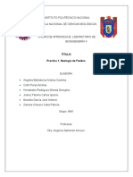 Informe Reología