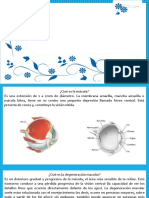 Degeneracion Macular