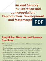 Nervous and Sensory Functions, Excretion and Osmoregulation Reproduction, Development and Metamorphosis