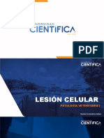 Lesion Celular 2