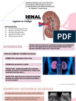 Litiasis Renal Presentacion Seminario 2