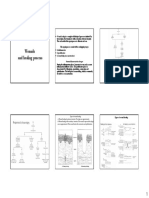 Lecture 13 Wound Healing (Cor)