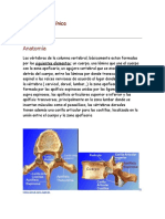 Exploración Clínica