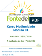 Aula 7 Mediunidade