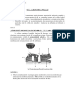 I° Medio GUÍA 2 CIENCIAS Bio