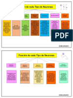 Tipos de Neuronas