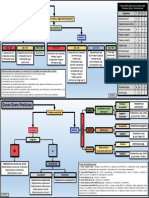 Algoritmo de Identificacion Pruebas Presuntivas