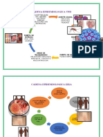 Deber Cadena Epidemiologica