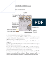 Informe Common Rail