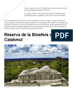 Calakmul Es Un Espectacular Escenario Natural de Más de 1