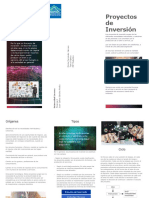 Triptico Proyectos de Inversion