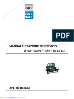 Manuale Stazione Di Servizio: APE TM Benzina