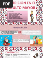 Nutricion Adulto Mayor