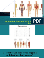 System of The Human Body