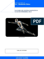 Exploración Anatomía Del Sistema Esquelético