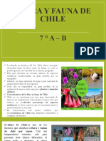 Flora y Fauna de Chile