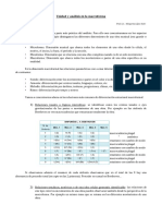 02b - Unidad y Análisis en La Macroforma