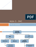 Aula 3 SNC-SNP