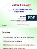 of Cell Adhesion and Cell Junctions