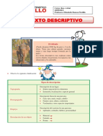 El Texto Descriptivo