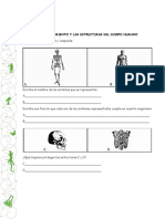 Prueba de Ciencias Naturales El Cuerpo 24 de Agosto