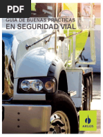 Guia de Buenas Practicas en Seguridad Vial