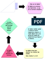 Diagrama de Los Lipidos Biologia