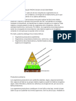 Niveles Tróficos en Un Ecosistema