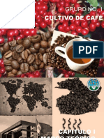 PRESENTACION FINALcultivo Cafe