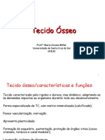 Tecido Ósseo