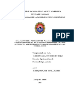 EVALUACIÓN DE LA PRODUCCIÓN DE Pleurotus Ostreatus (Jacq - Ex FR.) Kumm (BASIDIOMYCETE) EN RESIDUOS LIGNOCELULOSICOS COMO ALTERNATIVA AGROECOLOGICA EN LA COMUNIDAD DE HUAYLLAY - CCORCA, CUSCO.