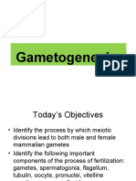 Gametogenesis