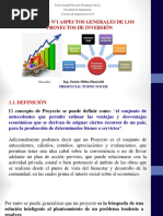 Capitulo Nº1 Aspectos Generales de Los Proyectos de Inversión