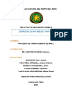 Difusion en Medio Poroso 1 2