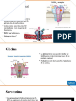 Psiquiatria y Neurotransmisores