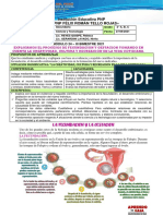 MÓDULO 24 - III°BIM - CyT 2do